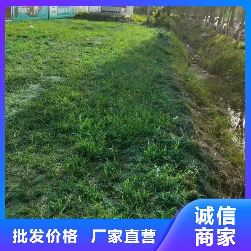 绿色结壳抑尘剂保质保量