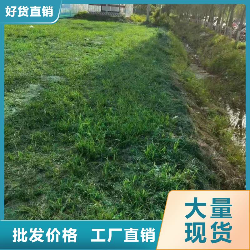 煤炭矿山抑尘剂厂家直营