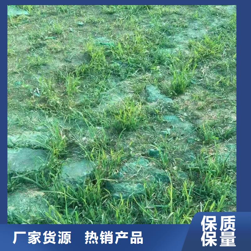 环保抑尘剂厂家直营