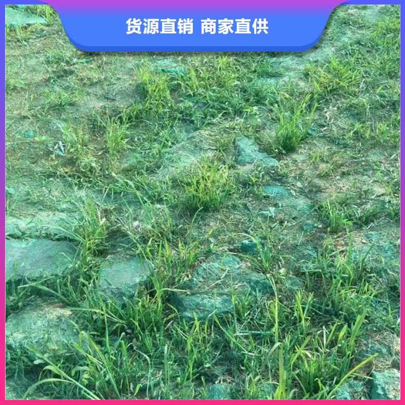 抑尘剂色素产地工厂
