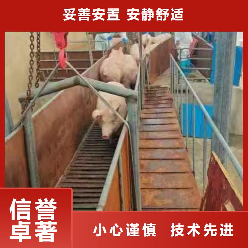 莱芜到猪只运输专用车及时送达