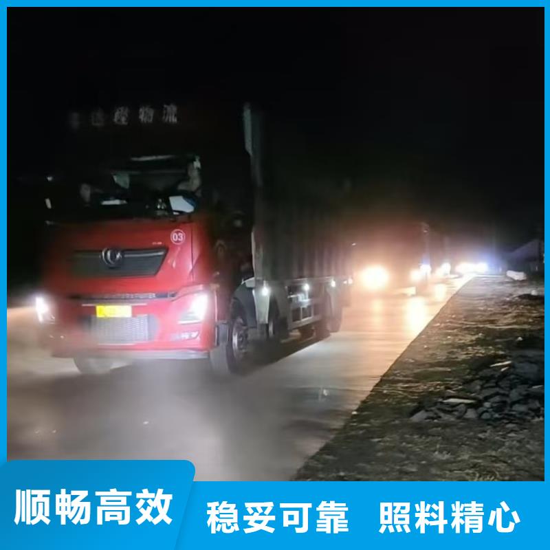 六安到猪运输精准无误