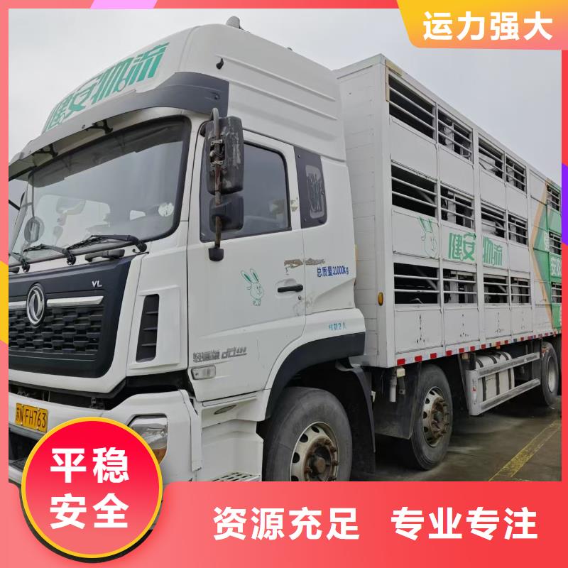 宿迁市沭阳到活禽物流整车