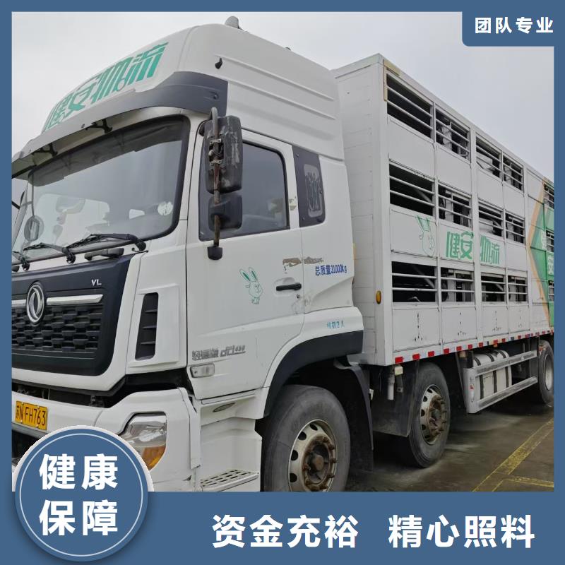 宿迁市到仔猪空调车运输信誉卓著