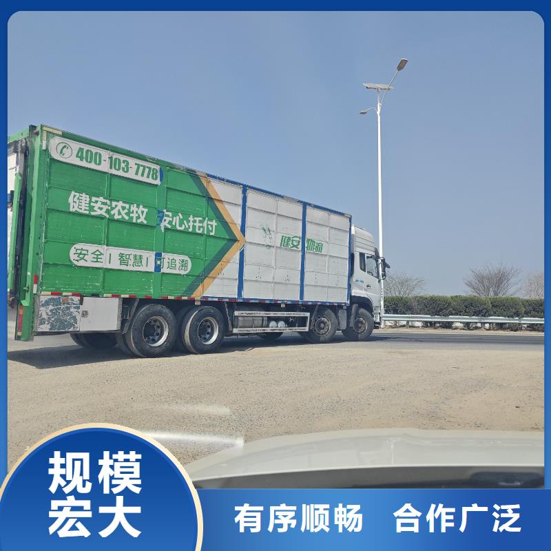 宿迁到仔猪空调车运输便利快捷