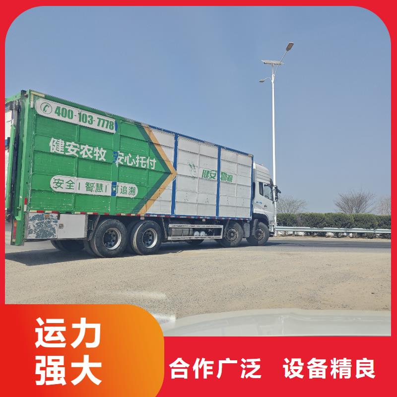 苏州到猪笼车物流运力强大