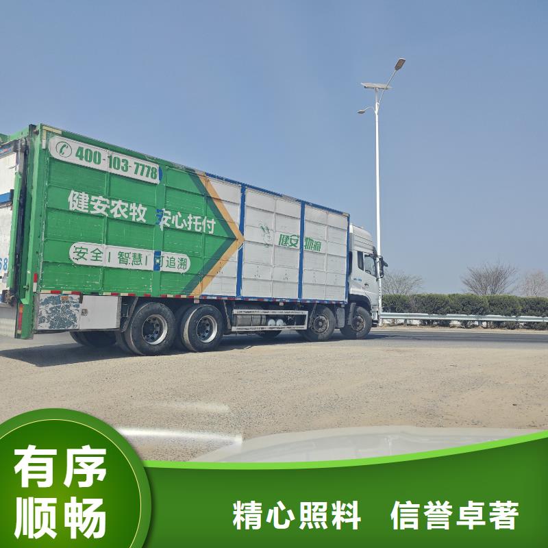 宿迁到种猪运输技术先进