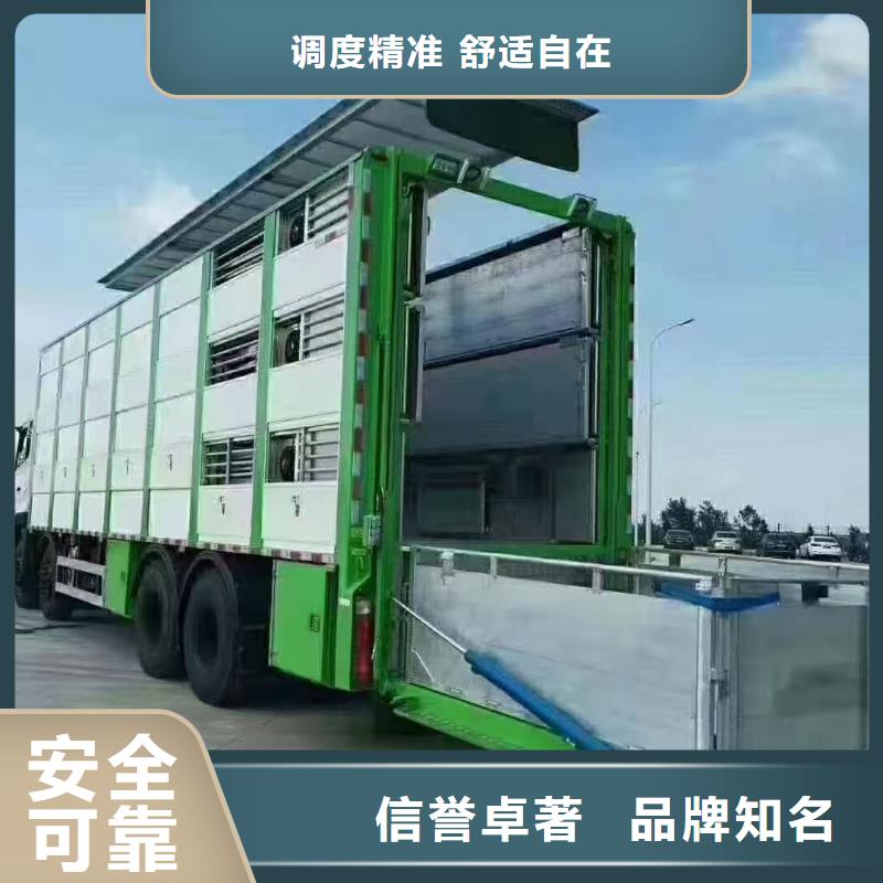 宿迁市沭阳到生猪空调车运输耐心细致