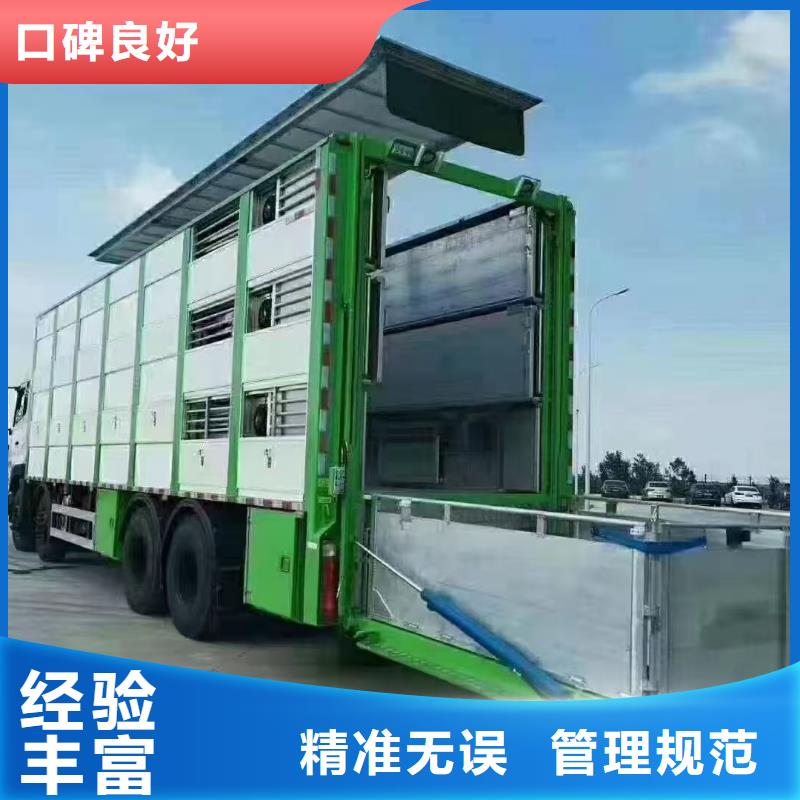 宿迁市沭阳到生猪空调车运输合规经营