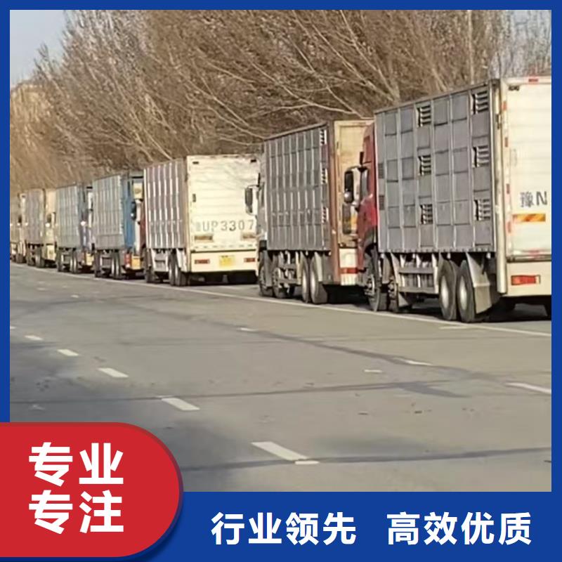 宿迁市泗阳到仔猪运输正规物流
