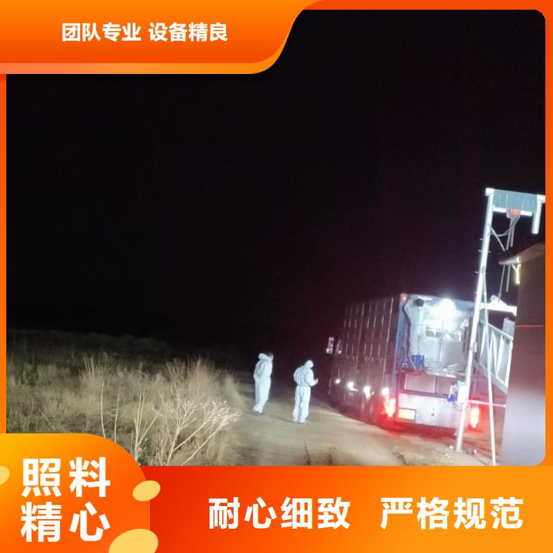 宿迁到生猪空调车运输司机经验丰富