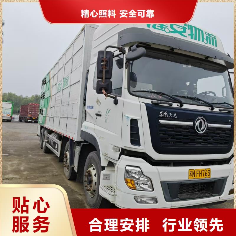 泰安到畜禽物流口碑良好