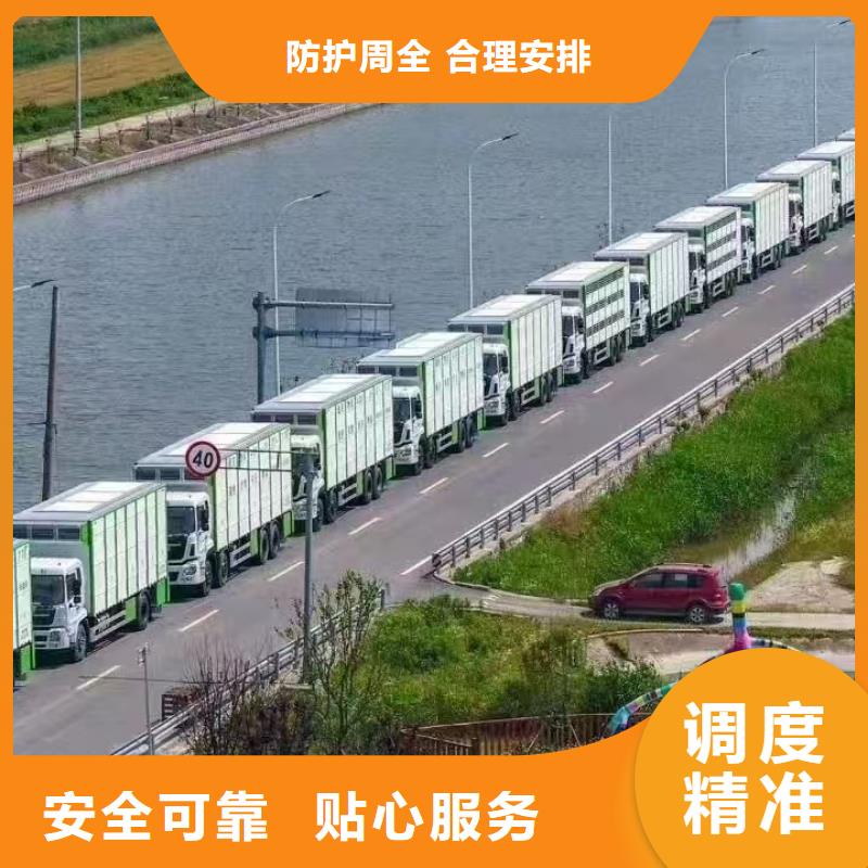 宿迁市沭阳到猪只运输专用车资质齐全