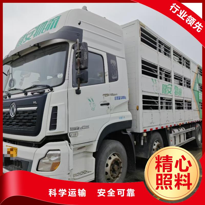 宿迁市沭阳到活禽物流整车