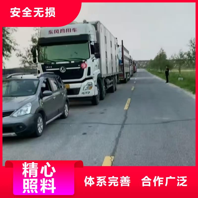 宿迁市到仔猪运输平稳