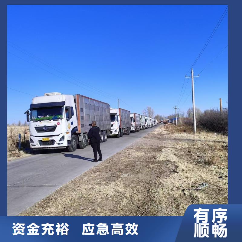 宿迁市沭阳到生猪恒温车运输路线优化