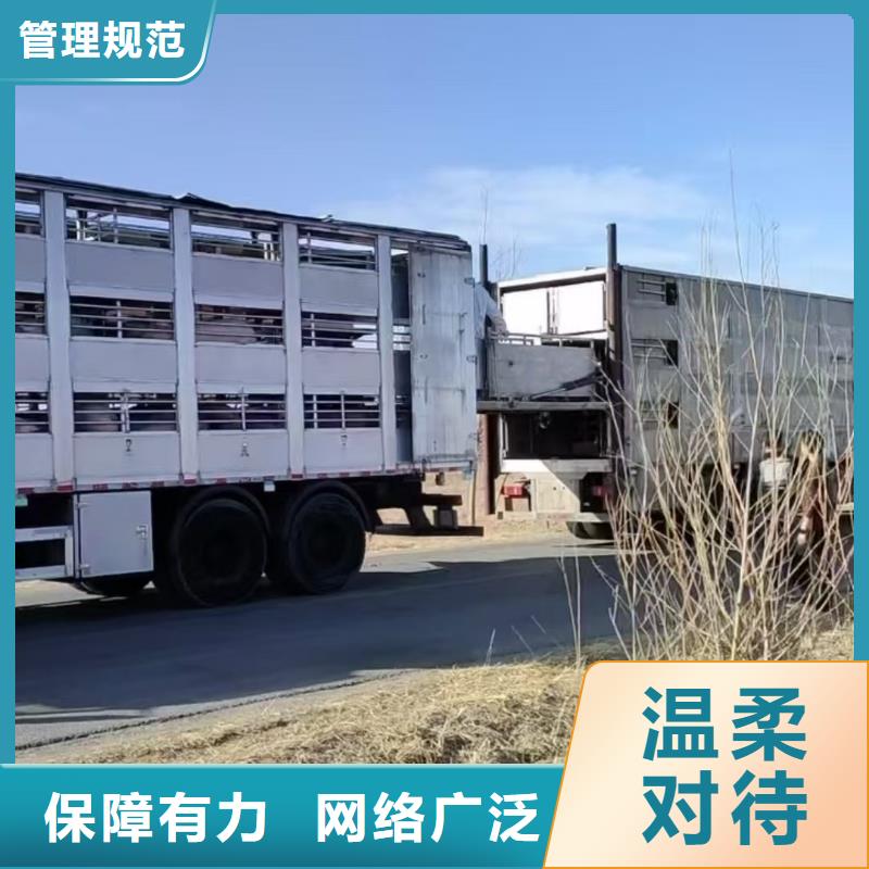 滨州到恒温车运输资金充裕