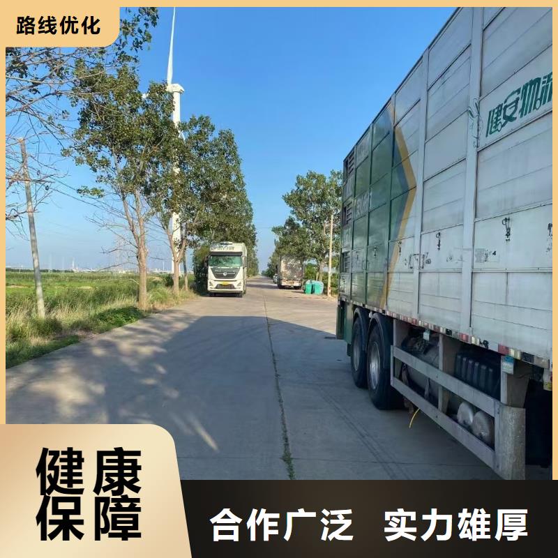 宿迁到活禽运输保障有力