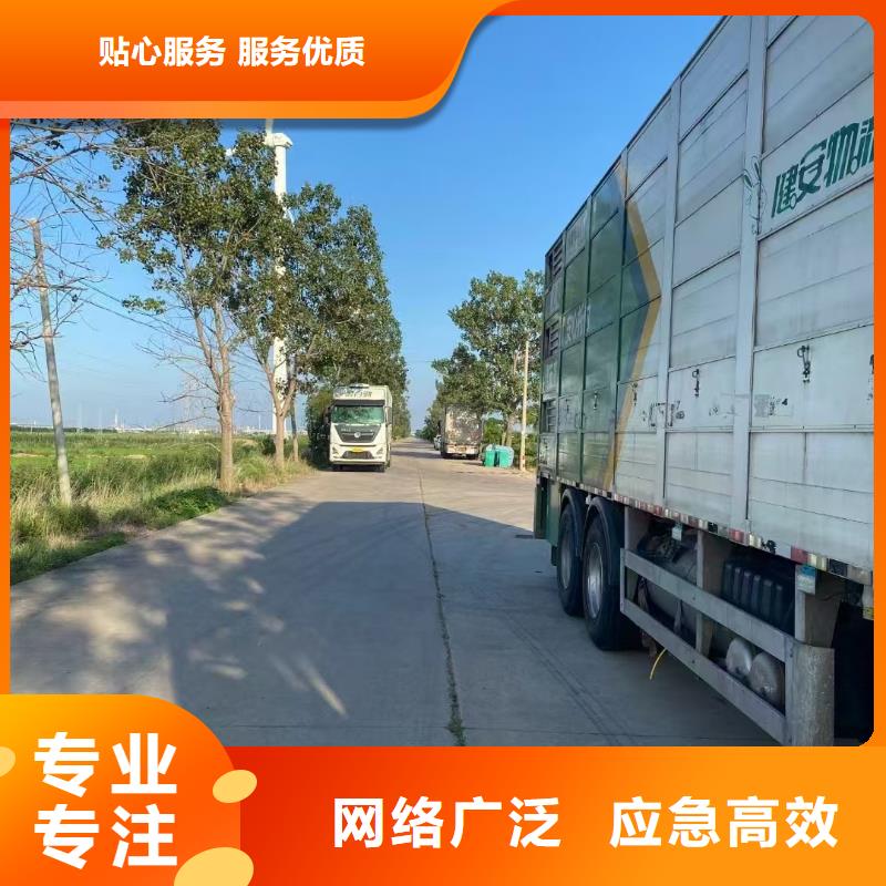 绍兴到畜禽运输信誉卓著