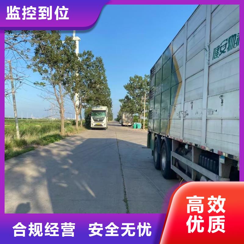 宿迁市沭阳到活禽运输创新进取