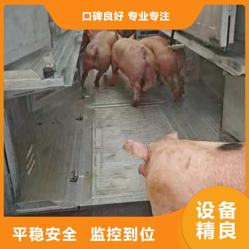 宿迁市沭阳到猪笼车运输实力雄厚