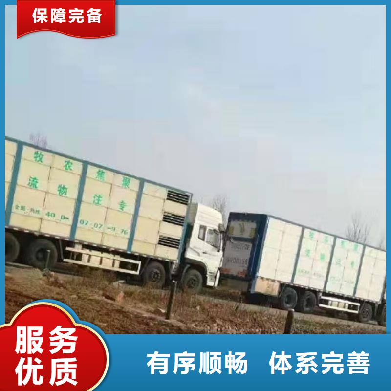 开封到牲畜运输精准无误