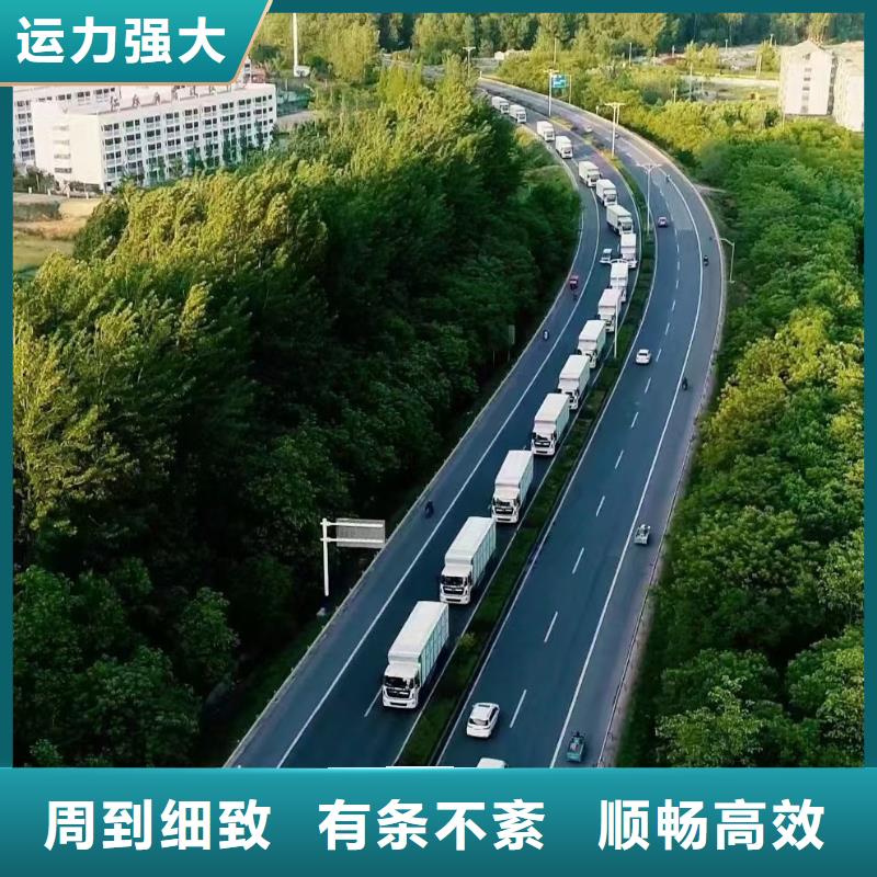 宿迁市泗阳到仔猪运输正规物流