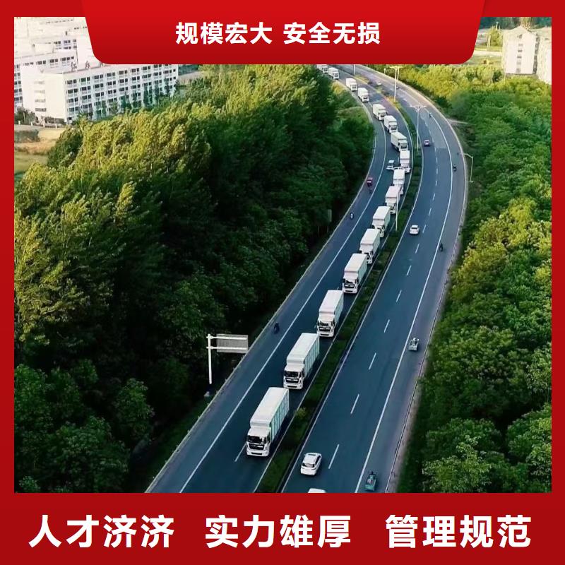 宿迁市沭阳到活禽运输创新进取