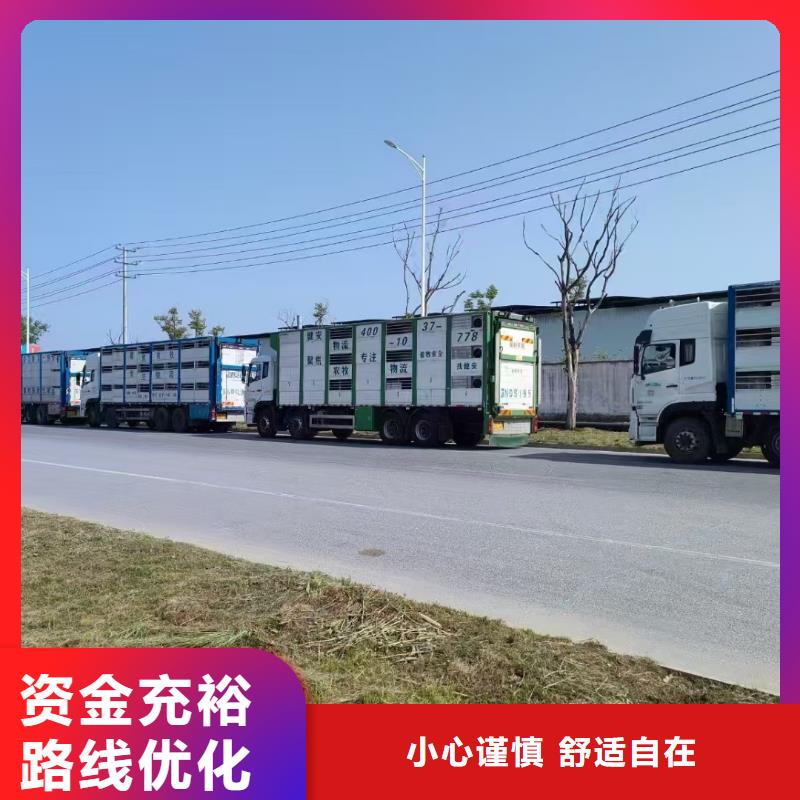 宿迁市泗洪到空调车运输保障完备