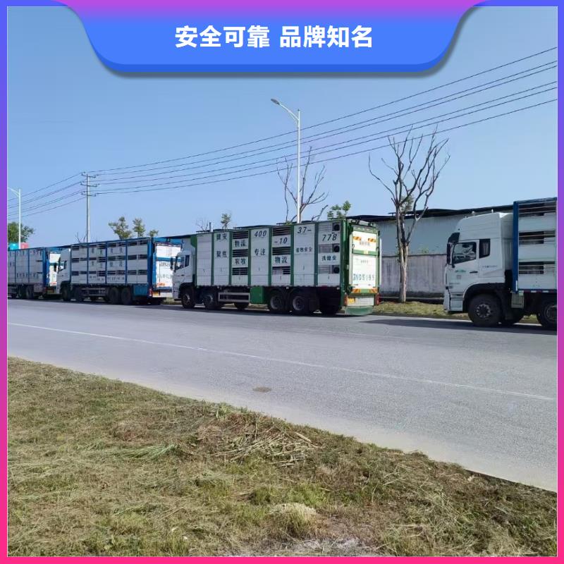 平顶山到活禽运输行业领先