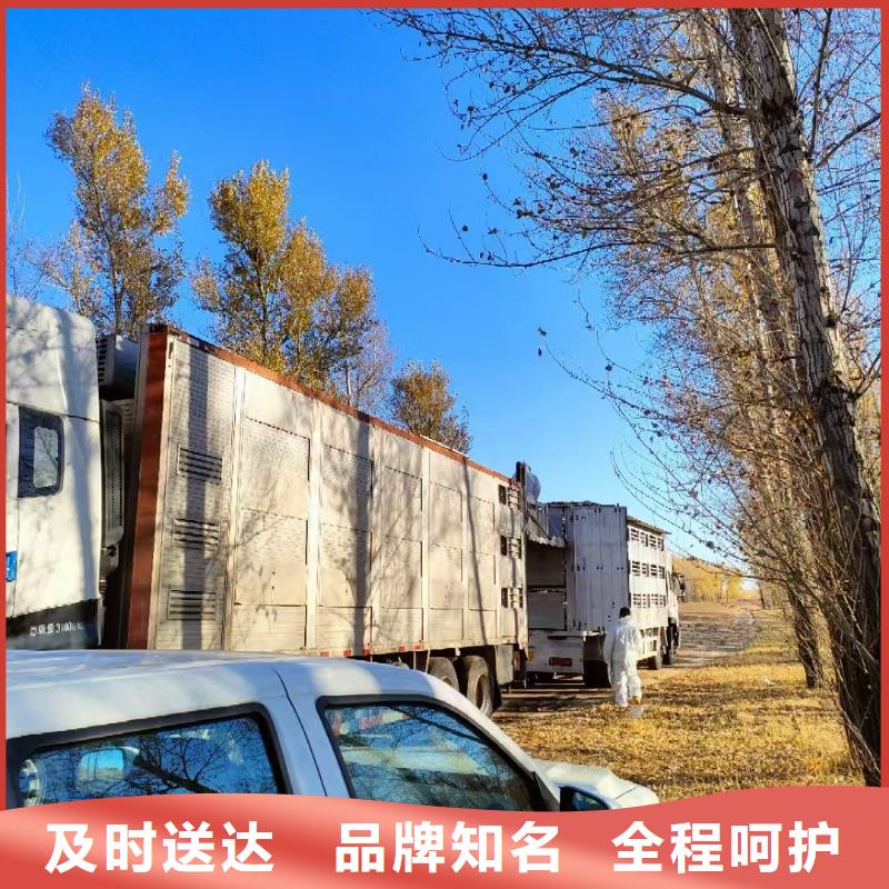 宿迁市沭阳到猪只运输专用车资质齐全