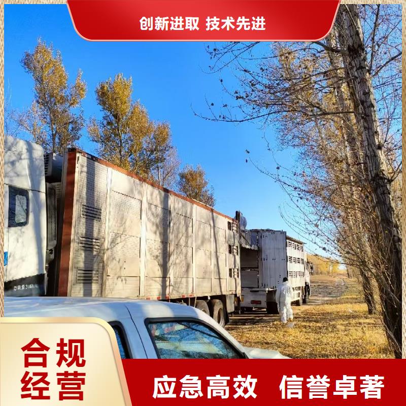 山东到活禽运输无损