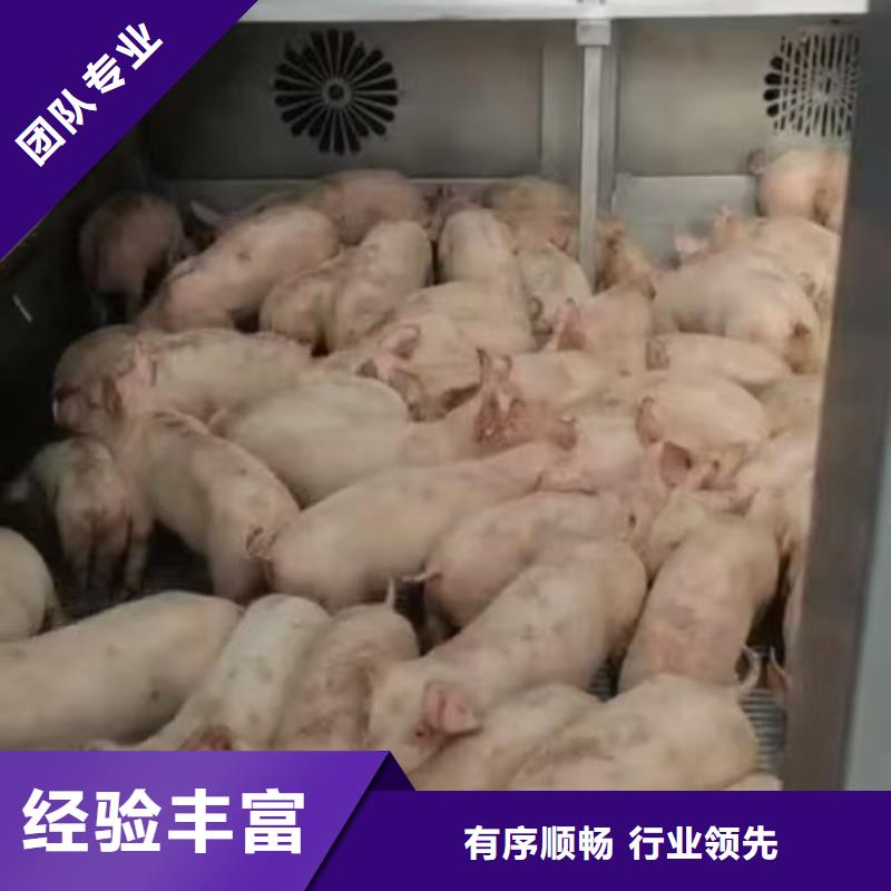 宿迁到生猪运输便利快捷