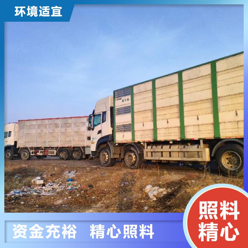 威海到牲畜运输耐心细致