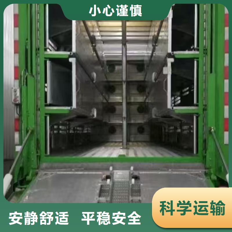 开封到仔猪空调车运输妥善安置