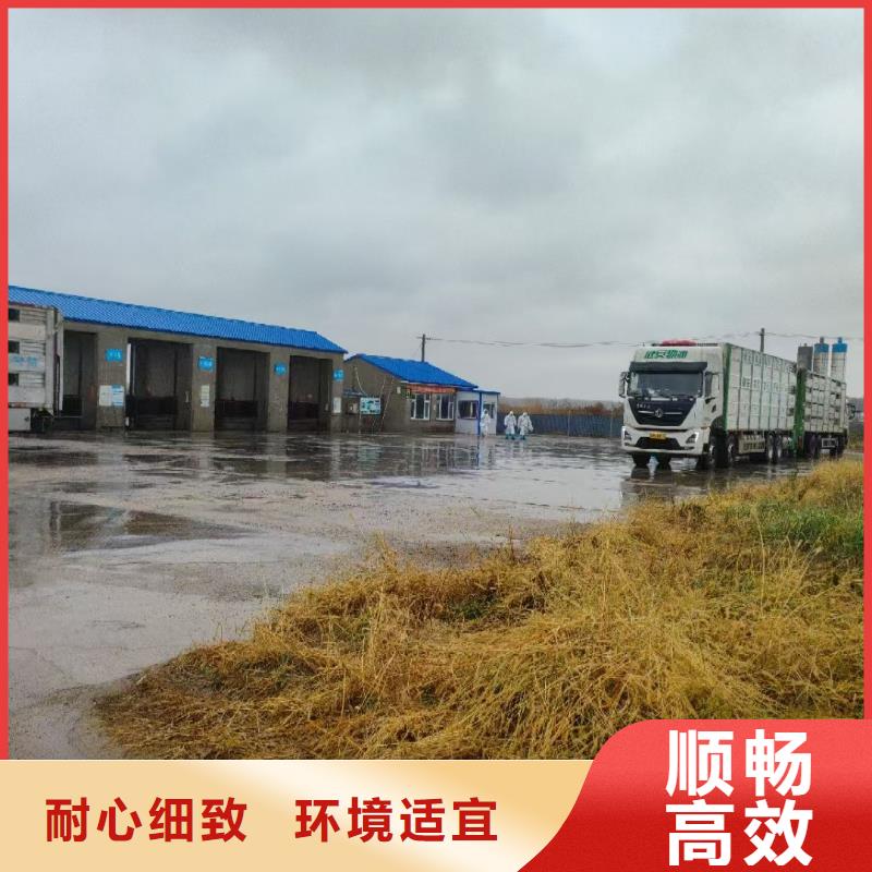 宿迁市沭阳到猪只运输专用车资质齐全