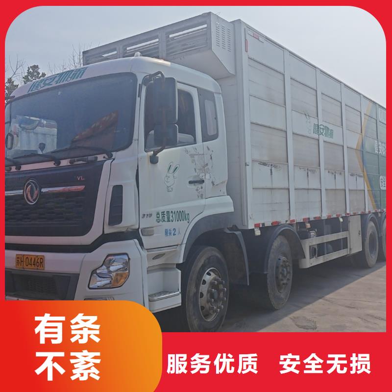宿迁市沭阳到牛运输专用车保障