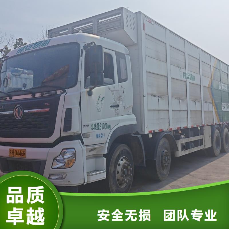 莱芜到猪只运输专用车及时送达