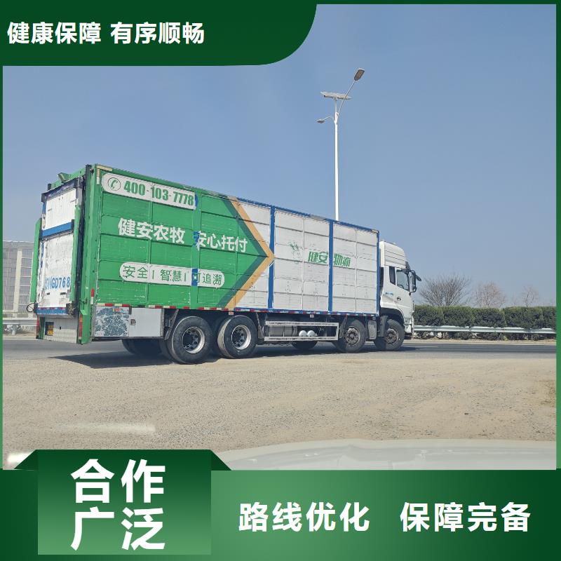 宿迁市泗洪到羊运输照料精心