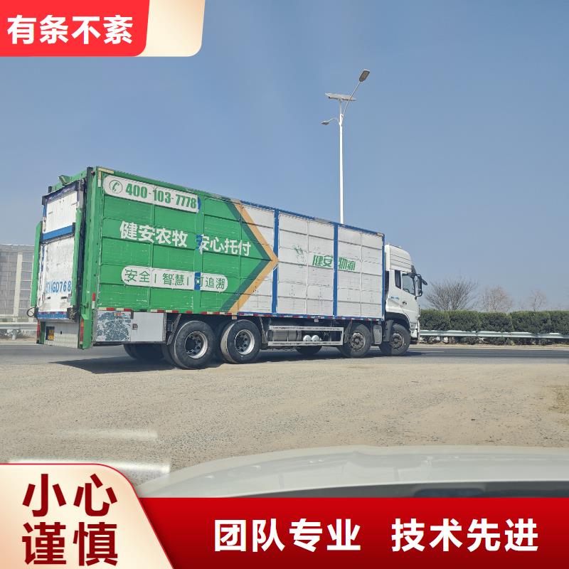 宿迁市沭阳到二育运输合理