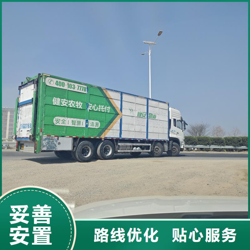 宿迁市沭阳到活禽运输创新进取