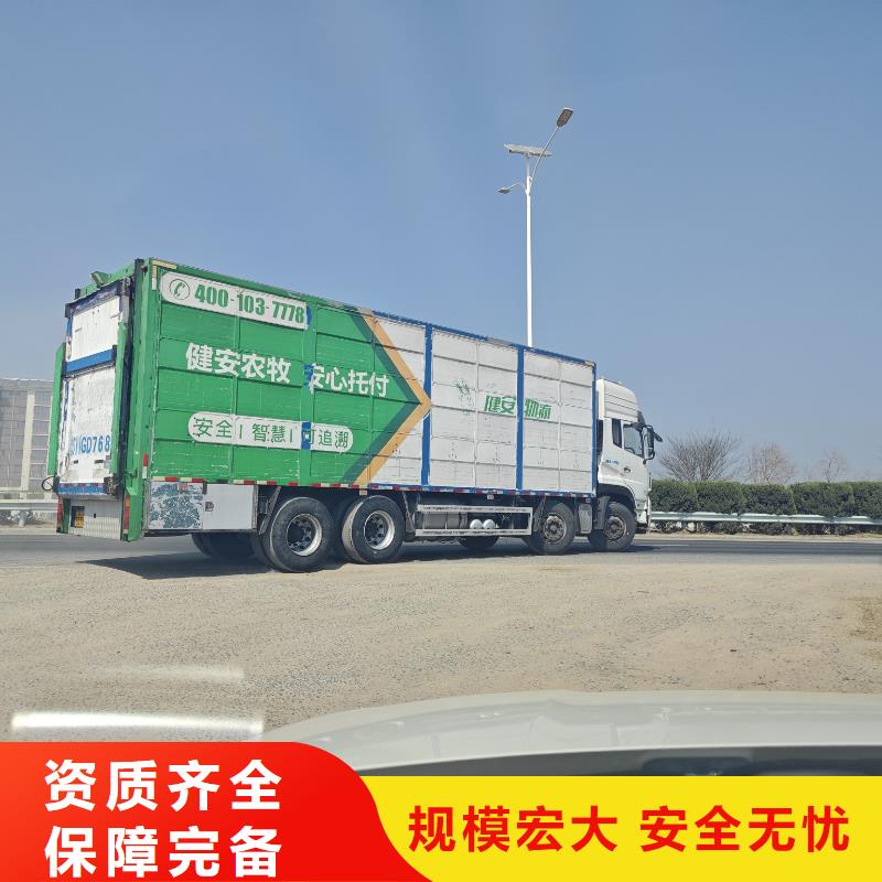 宿迁到猪只运输专用车便利快捷