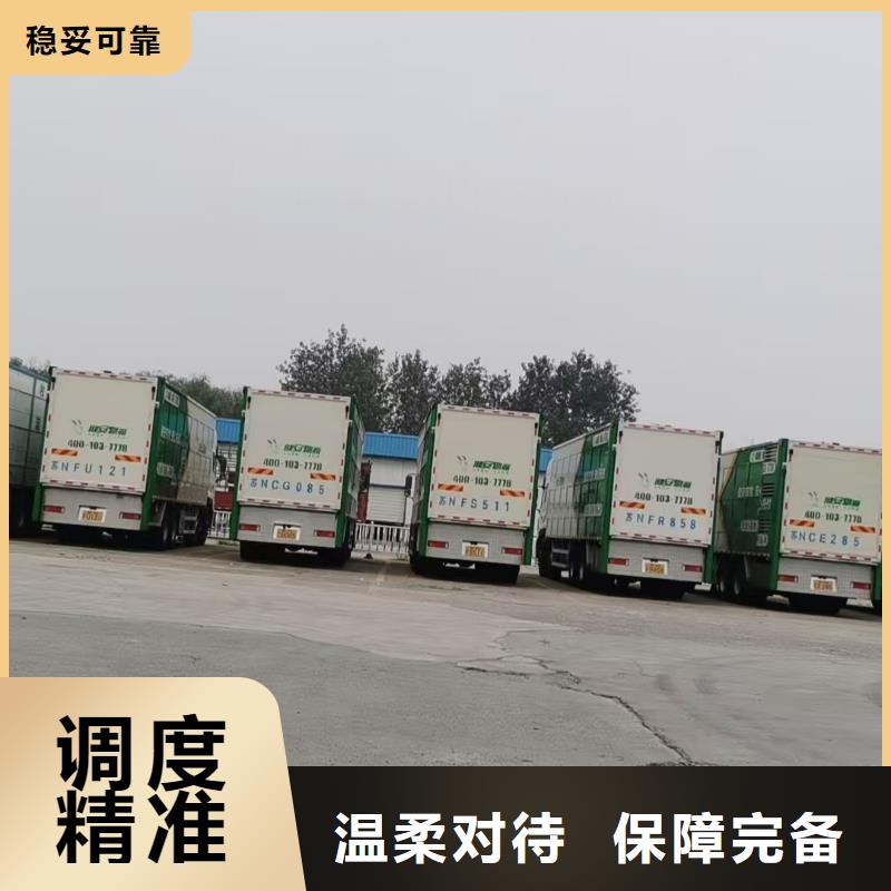 威海到牲畜运输耐心细致
