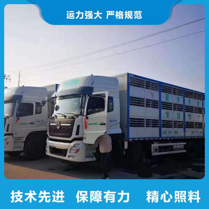 宿迁到散装料专用车保障完备
