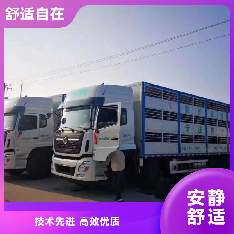 滨州到恒温车运输资金充裕
