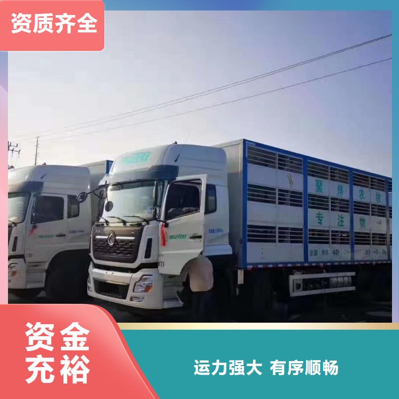 苏州到农牧运输合作广泛