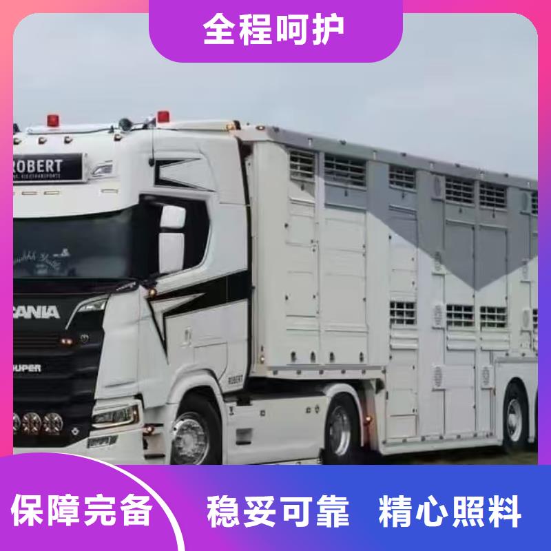 滨州到恒温车运输资金充裕