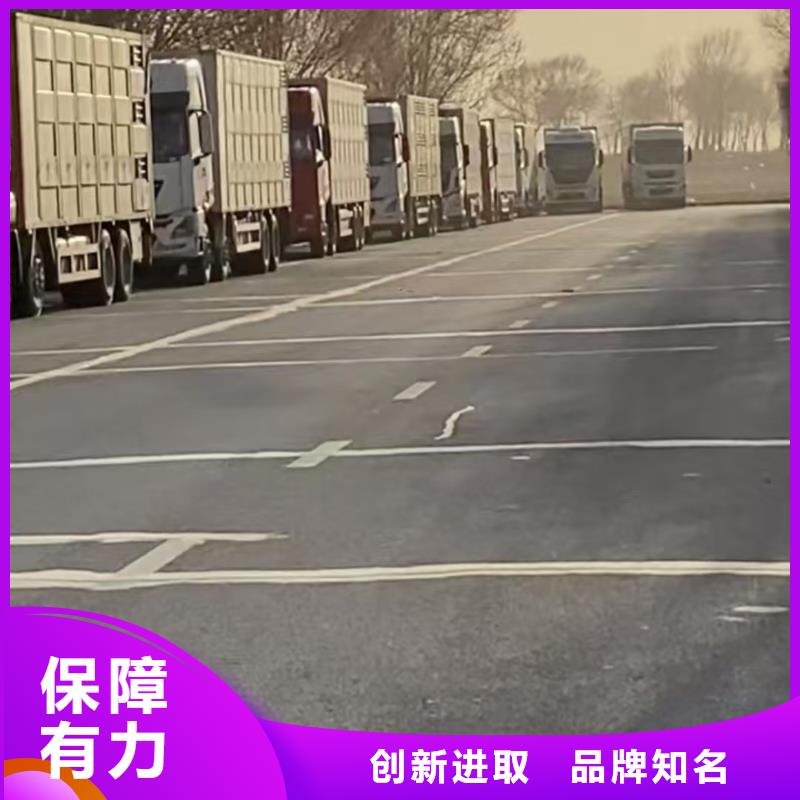宿迁市到仔猪运输平稳
