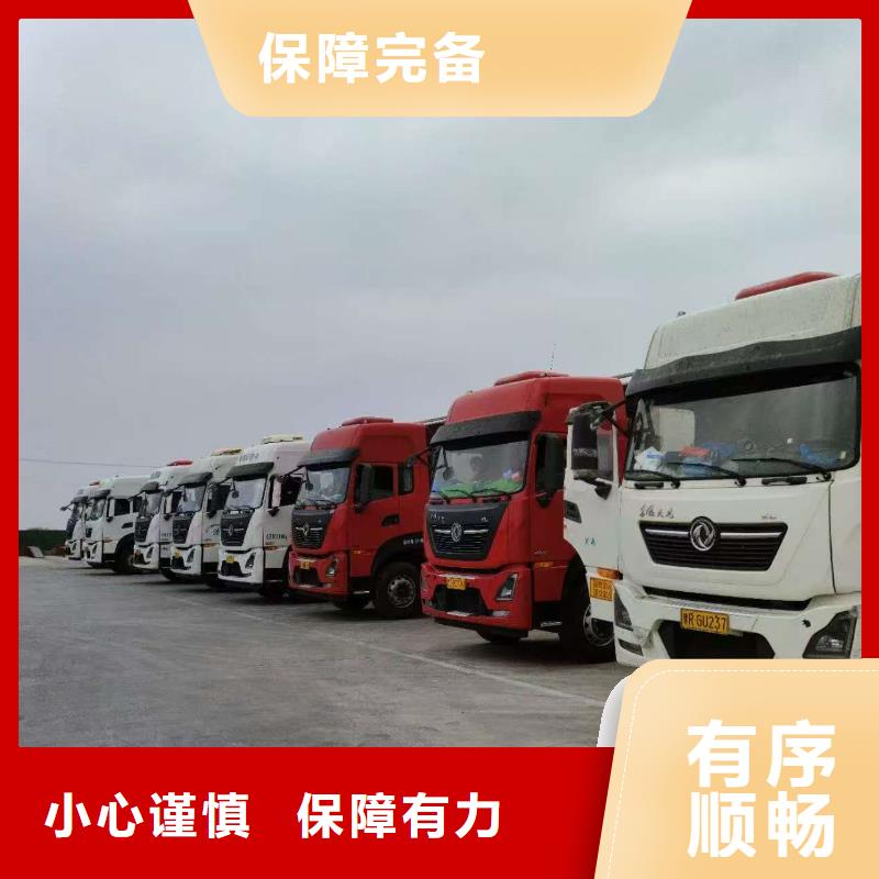 宿迁市沭阳到活禽运输创新进取