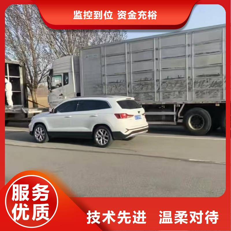 六安到猪运输精准无误